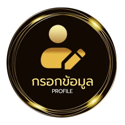 จัดการบัญชี mega win